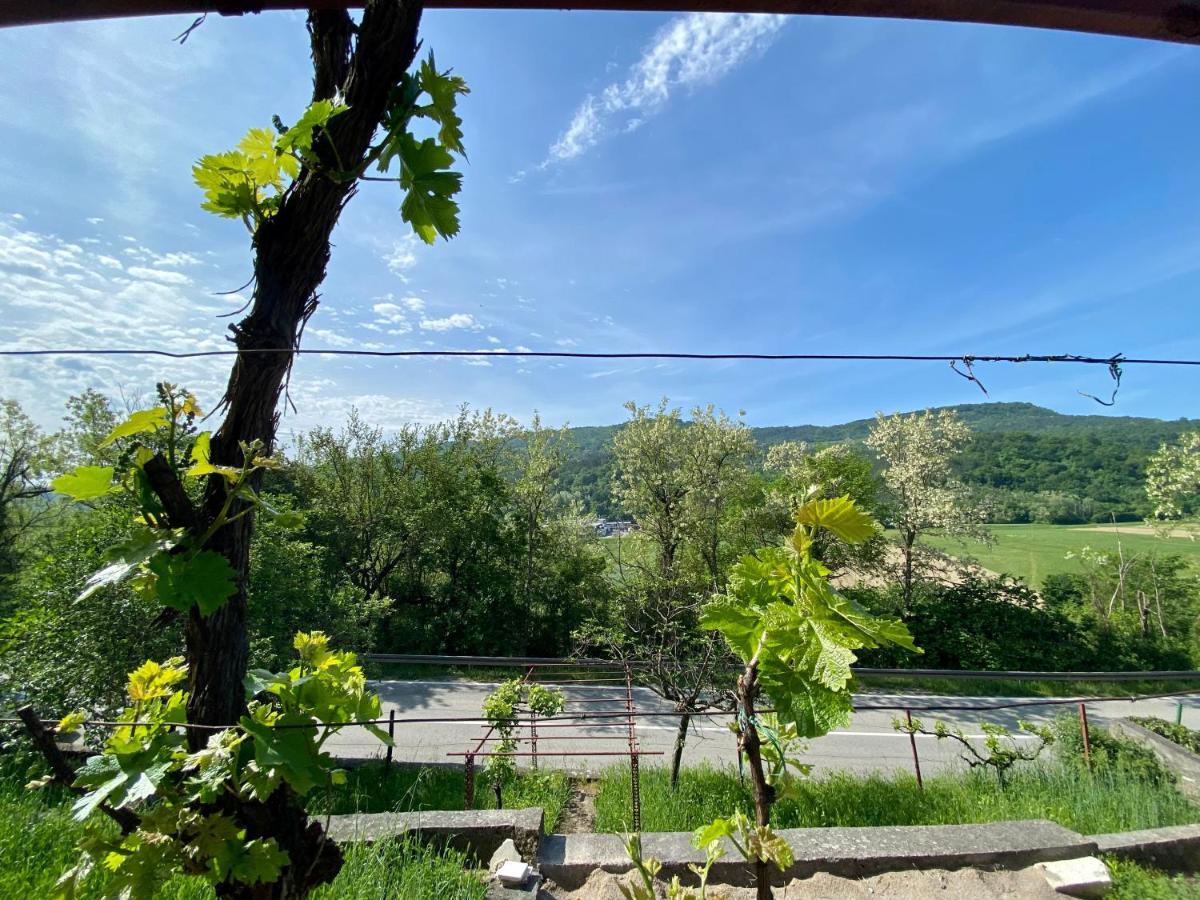 Apartman Verona Buzet Exterior photo
